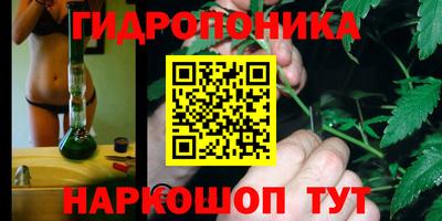 наркотики Заводоуковск