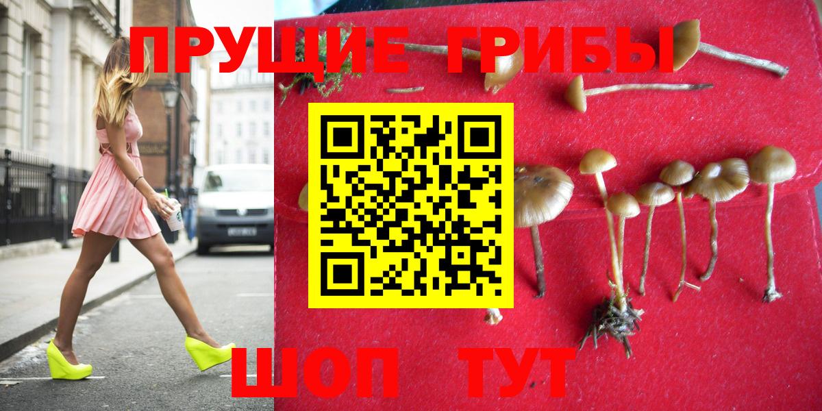 Галлюциногенные грибы GOLDEN TEACHER  Галлюциногенные грибы GOLDEN TEACHER  цены   Зеленогорск  Вход с VPN 